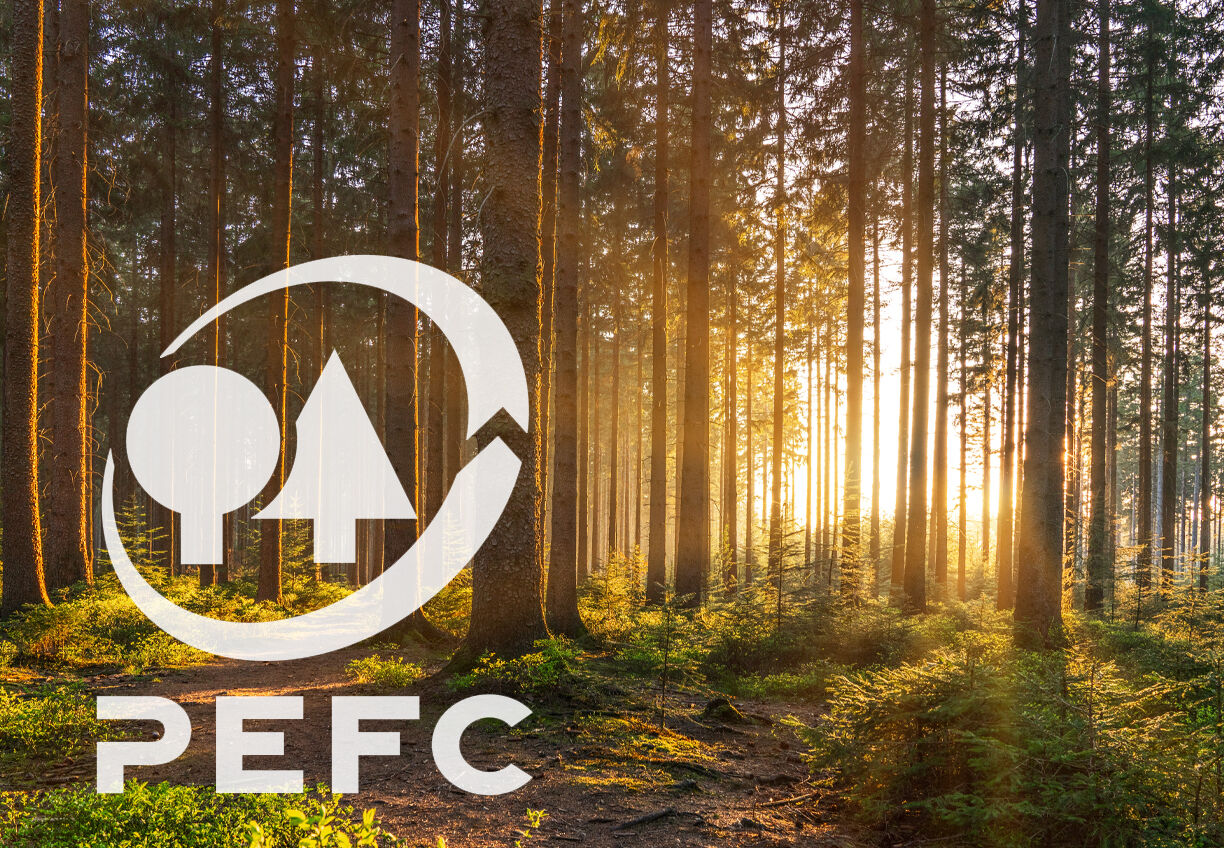 Udržitelné lesnictví